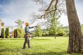 Best Weed Control  in San Clemente, CA
